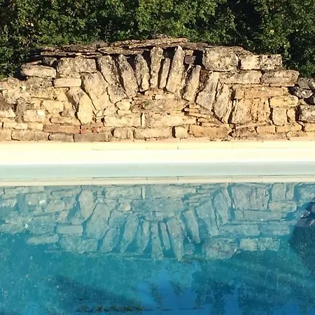 Maison Fauvel, Pur *