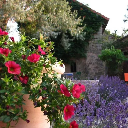 Maison Fauvel, Pur *